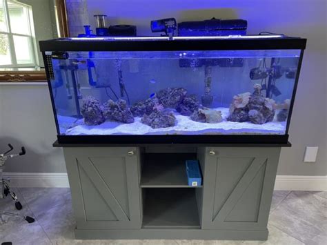 75 Gallon Saltwater Aquarium