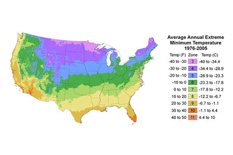 Planting Zones Map United States - Nancy Valerie