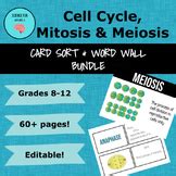 Cell Cycle Mitosis Card Sort Activity By Science Fun With Mrs G