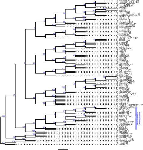 All Quiet On The Western Front The Evolutionary History Of Monogeneans