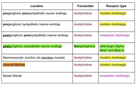 Neurotransmitters Diagram Quizlet