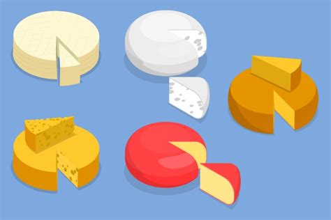 Cheese Types Collection Dairy Products Set Vector Image