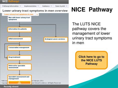 Ppt The Management Of Lower Urinary Tract Symptoms Luts In Men