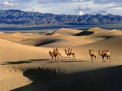 Gobi Desert A Must Visit place for you! | Found The World