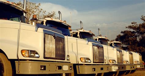 Document Management The Key To Effective Large Fleet Compliance