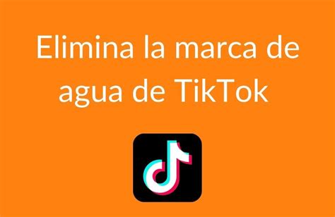 Eliminar La Marca De Agua De Tik Tok F Cil Y Gratis