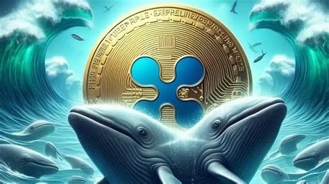 Ripple Effect Million Xrp Surge Sparks Speculation As Whales Make