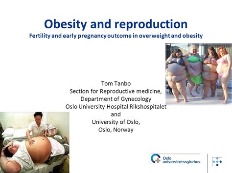 Obesity And Reproduction Fertility And Early Pregnancy Outcome In