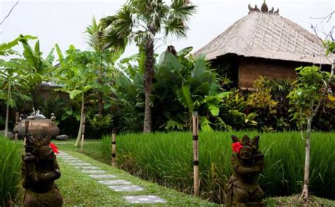 Bebek Tepi Sawah Ubud Di Bali Malam