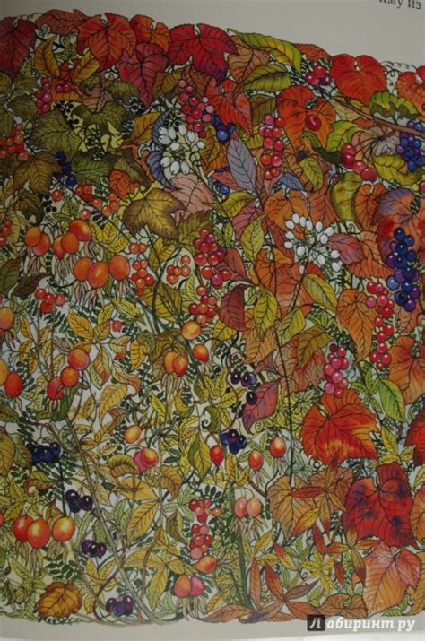 Книга: Таежные сказки - . Купить книгу, читать рецензии | Лабиринт
