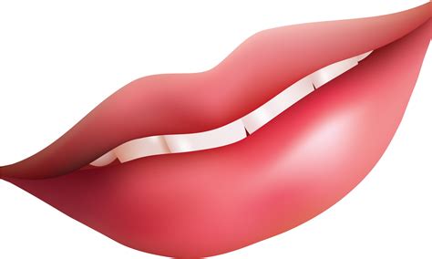 Download Lips Vector Closed Lip Lips Clipart Full Size Png Image