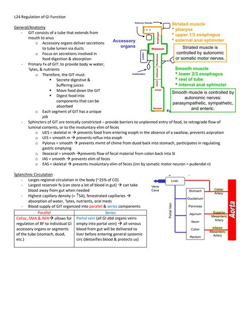 SOLUTION Regulation Of Gi Function Studypool