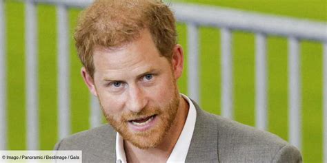 M Moires Explosives Du Prince Harry Ce Que Le Prince Charles Redoute