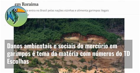 Danos ambientais e sociais do mercúrio em garimpos é tema da matéria