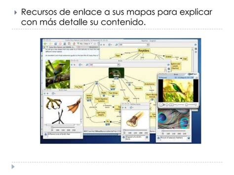 Cmap Tools PPT