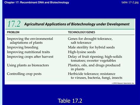 Ppt Chapter 17 Recombinant Dna And Biotechnology Powerpoint