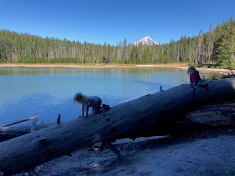 Frog Lake, Oregon: Mt Hood campground, trail + polliwog paradise!