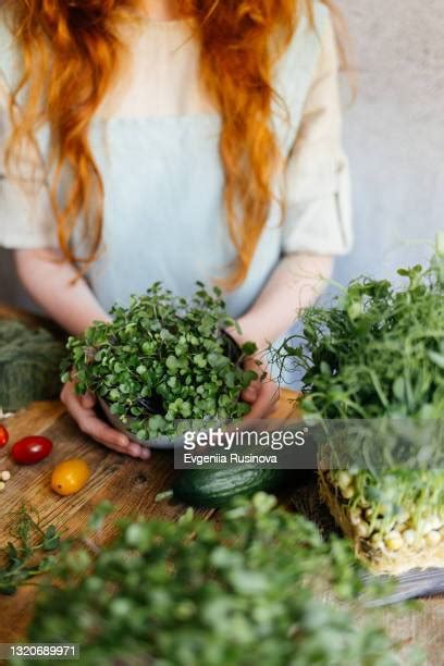 Kohlrabi Microgreens Photos And Premium High Res Pictures Getty Images