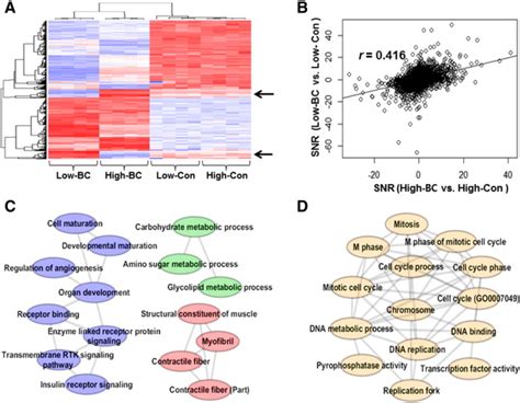 Transcriptomic Changes Induced By Different Levels Of Catenin In Mscs