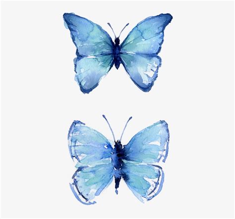 Butterflies Watercolor Free Butterfly Watercolour Painting Png Image