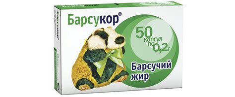 Барсучий жир – лечебные свойства и противопоказания