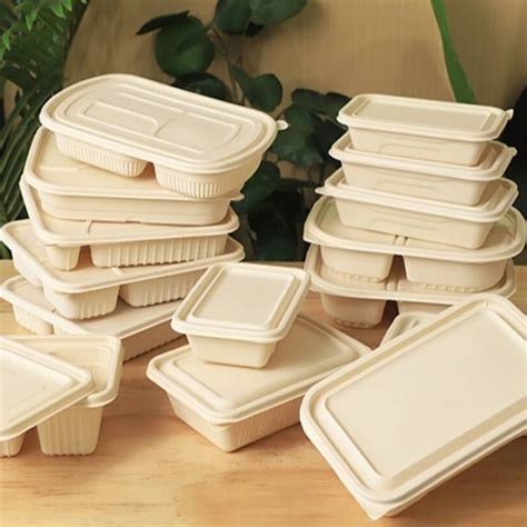 China Pla Degradable Compostable Plastic Lunch Box Plate Bowl