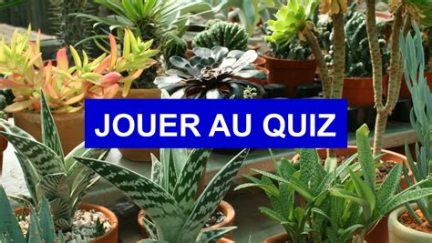 Quiz SVT Terminale Bac De la plante sauvage à la plante domestiquée