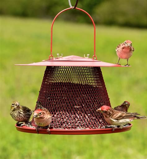 Collapsible Bird Feeder Lee Valley Tools