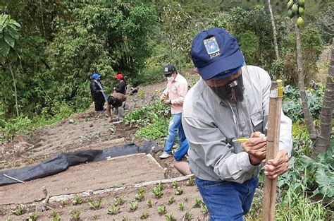 Agricultores De Yunguilla Ponen En Pr Ctica Conocimientos Adquiridos En