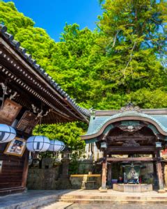 Perfect Nara Day Trip Itinerary From Osaka Or Kyoto Gina Bear S Blog