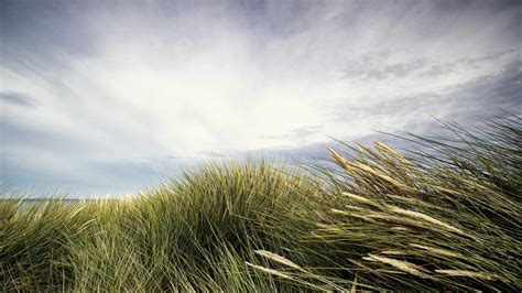 Картинки Небо Ветер – Telegraph