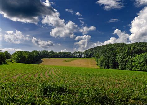 Fotos Gratis Paisaje árbol Naturaleza Césped Horizonte Nube