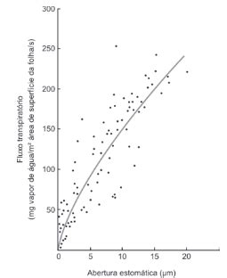 Aio O Grafico A Seguir Representa A Relacao Entre A