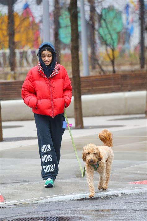 Rachel Zegler Spotted Walking Her Dog in NYC • CelebMafia
