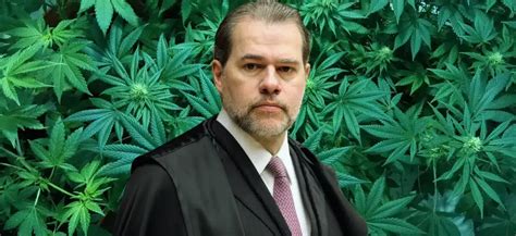 Dias Toffoli Libera Julgamento Da Descriminalização Da Maconha No Stf Radio Hemp