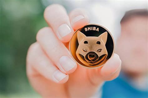 Shiba Inu Here S How Much Invested Into Shib In Would Be