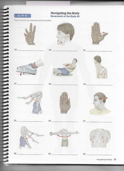 Chapter 1 Navigating The Body Diagram Movements Of The Body Part 5 Diagram Quizlet