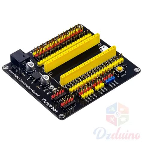 Carte Dextension Raspberry Pi Pico Gpio