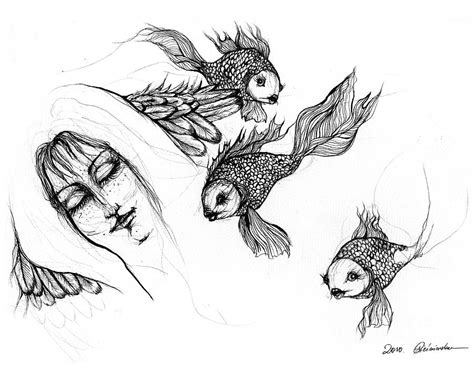 Fish Head Sketch at PaintingValley.com | Explore collection of Fish ...