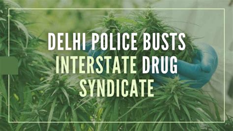 Delhi Interstate Drug Syndicate Busted