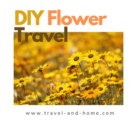 Namaqualand Flower Tours Best Flower Site