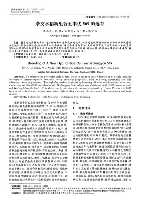 杂交水稻新组合五丰优569的选育 Word文档在线阅读与下载 免费文档