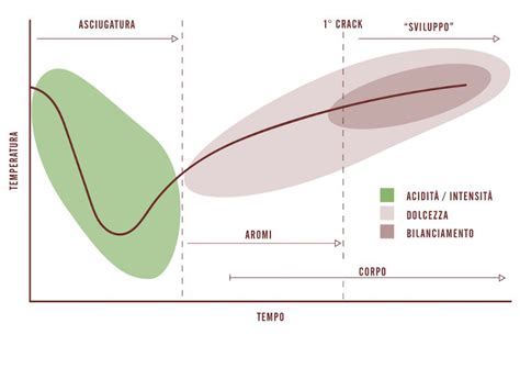 La curva di tostatura Caffè Ernani