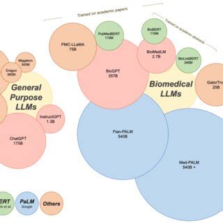 Overview Of LLM Training Process LLMs Learn From More Focused Inputs