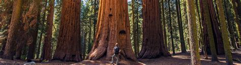 Giant Sequoia Backpacking - Adventure Out