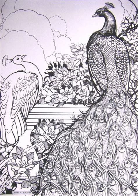 Beautiful Peacocks Coloring Pages Coloring Pages