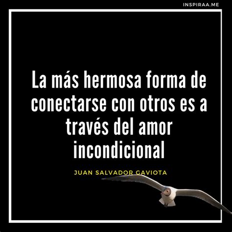 66 Frases De Juan Salvador Gaviota Sobre La Libertad Y El Crecimiento