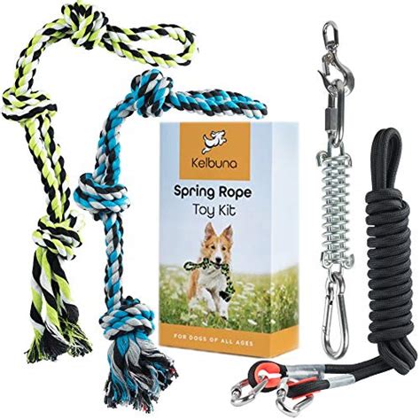 Best Spring Poles For Dogs