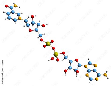 3d Image Of Nicotinamide Adenine Dinucleotide Skeletal Formula