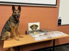 Two people arrested in Kingsville drugs and gun bust | Windsor Star